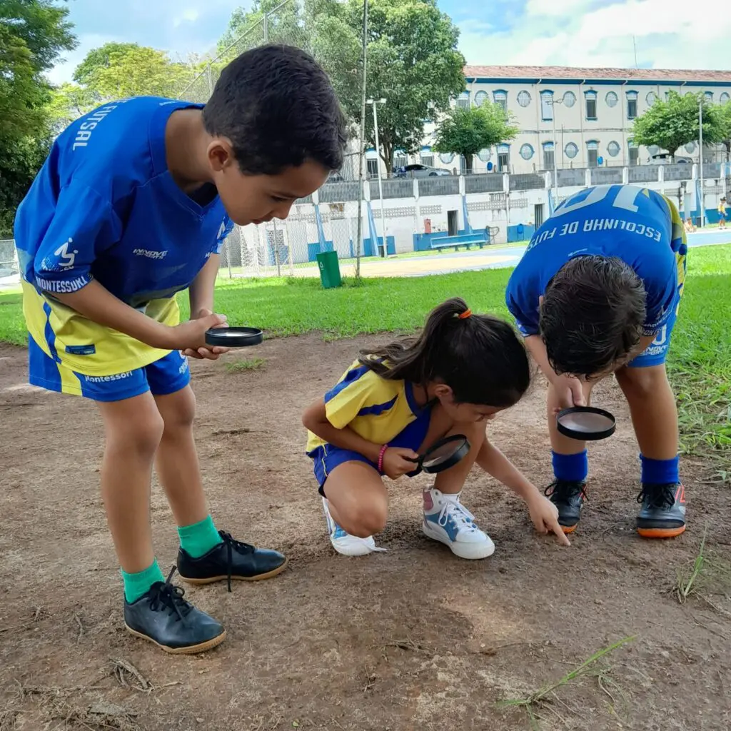 WhatsApp Image 2026-02-26 at 15.04.54 (3)