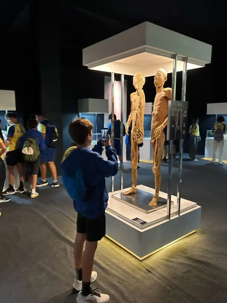 WhatsApp Image 2026-03-13 at 17.58.01