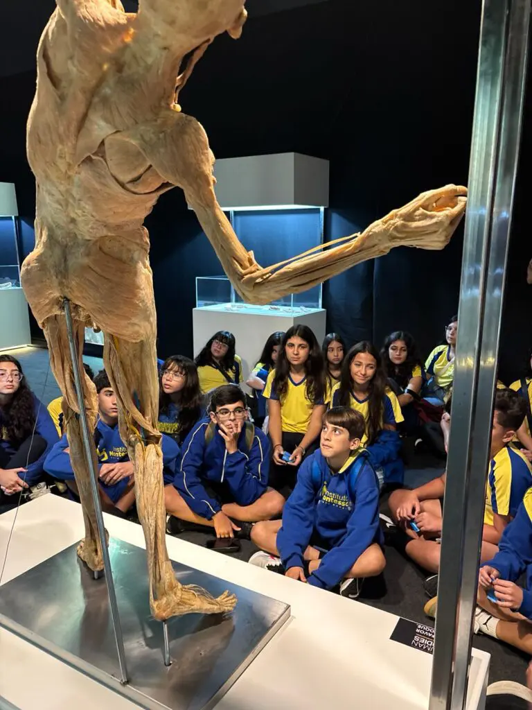 WhatsApp Image 2026-03-13 at 17.59.04