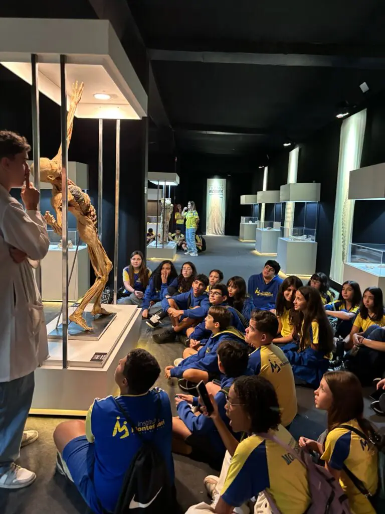 WhatsApp Image 2026-03-13 at 17.59.28