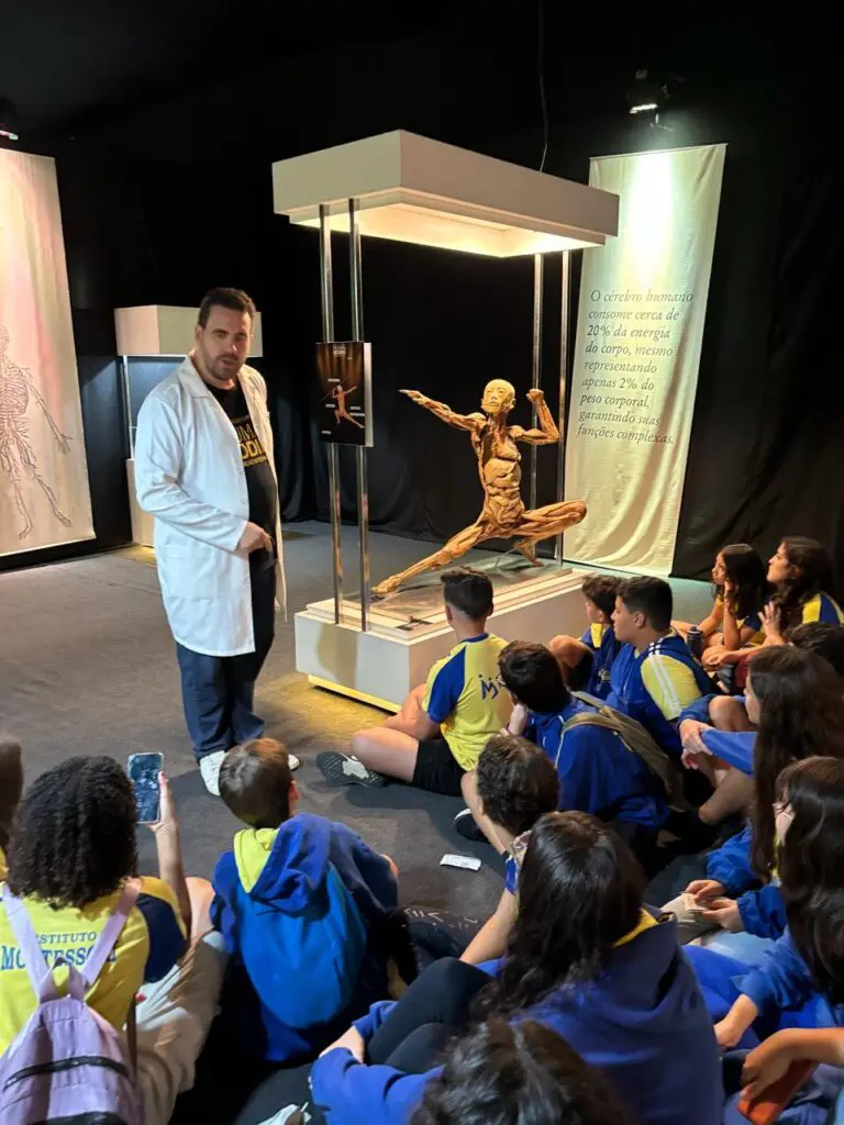 WhatsApp Image 2026-03-16 at 08.56.37 (2)