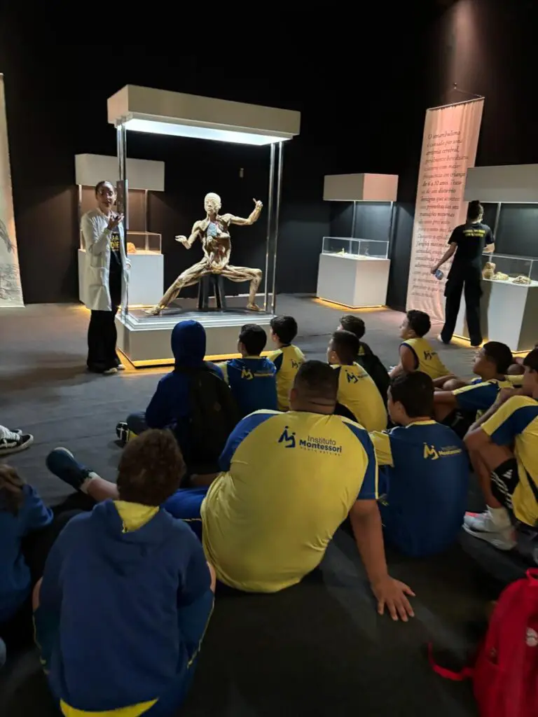 WhatsApp Image 2026-03-16 at 08.56.38 (2)