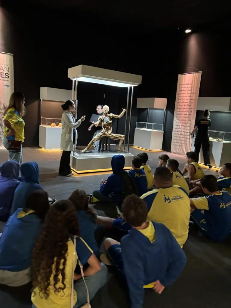 WhatsApp Image 2026-03-16 at 08.56.38