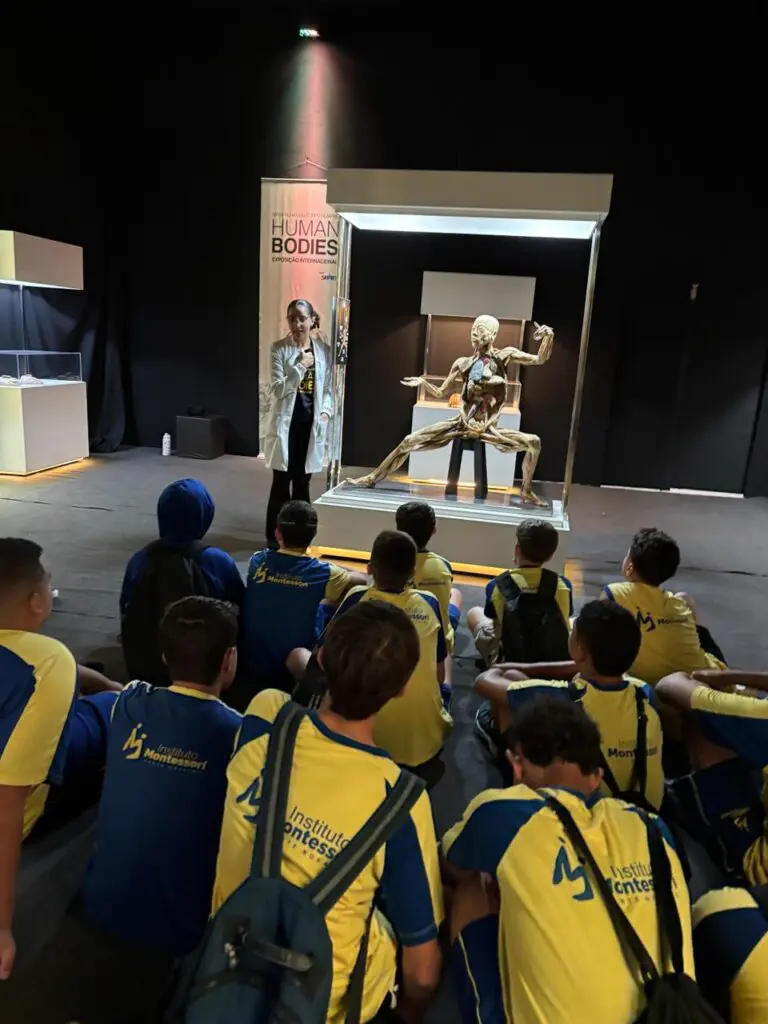 WhatsApp Image 2026-03-16 at 08.56.39 (1)