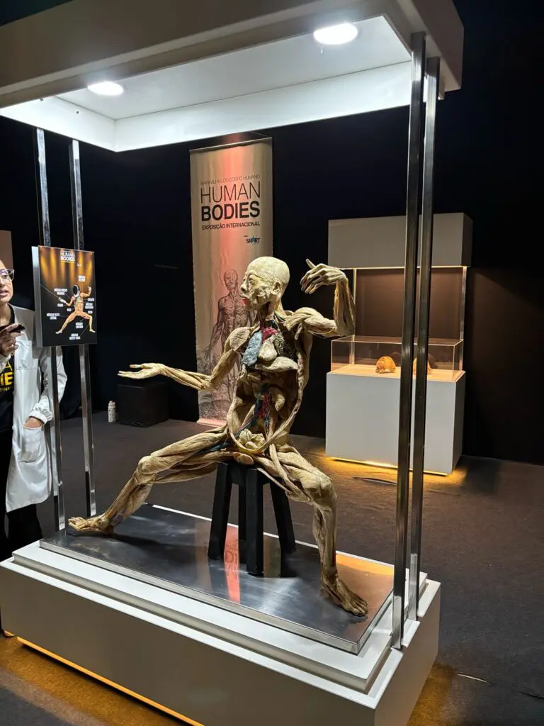 WhatsApp Image 2026-03-16 at 09.31.01