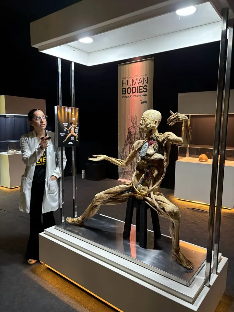 WhatsApp Image 2026-03-16 at 09.31.11