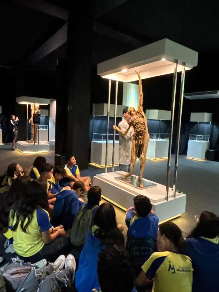 WhatsApp Image 2026-03-16 at 10.03.12 (1)