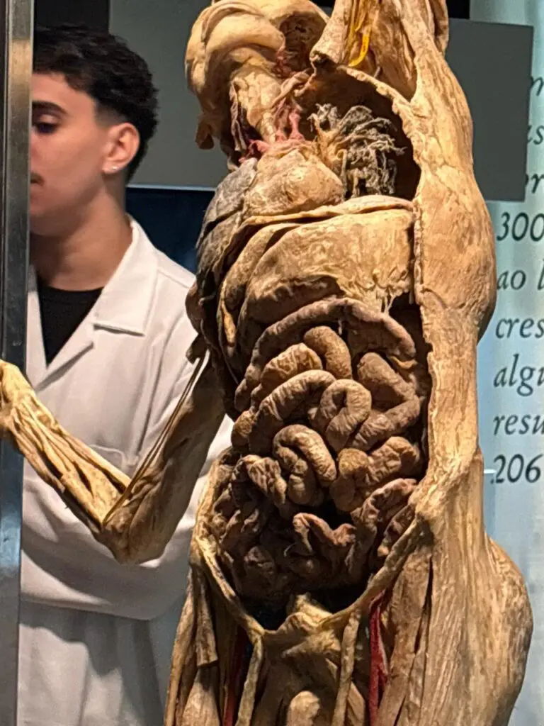 WhatsApp Image 2026-03-16 at 10.03.12