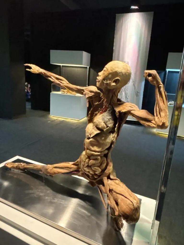 WhatsApp Image 2026-03-16 at 10.03.14