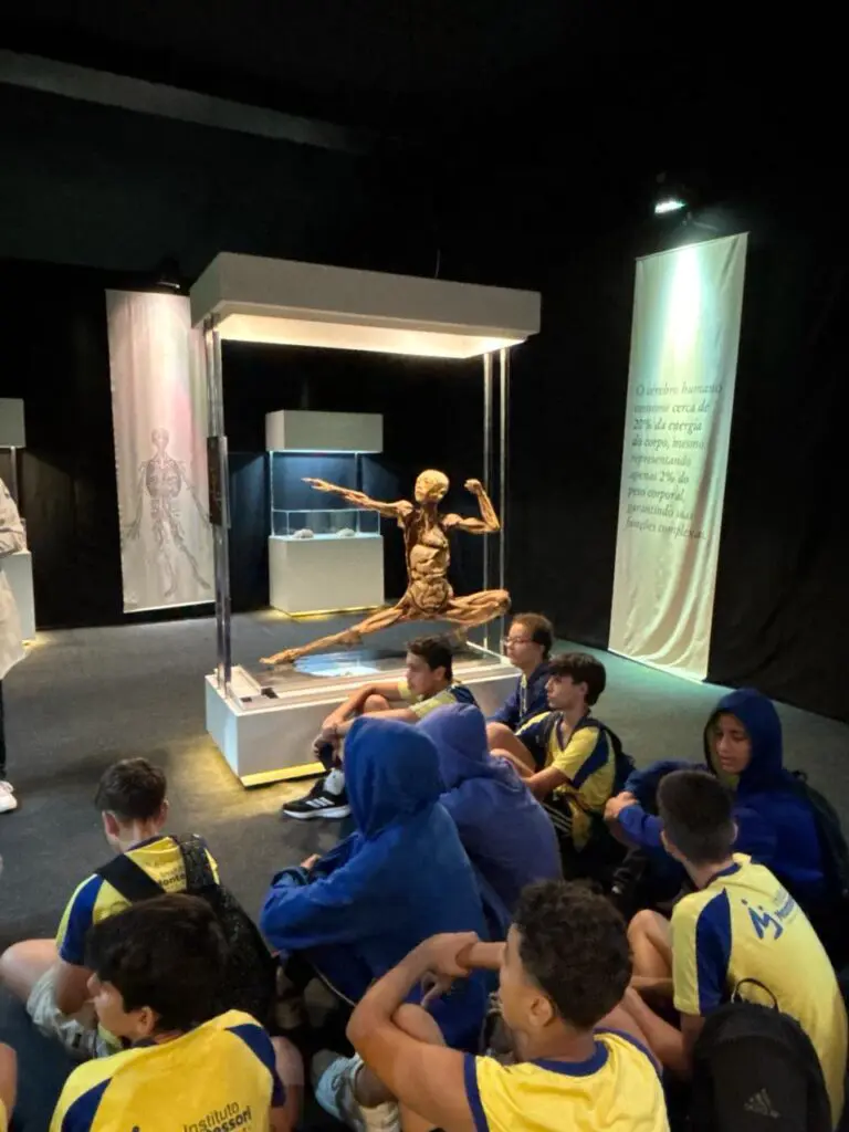 WhatsApp Image 2026-03-16 at 10.03.16