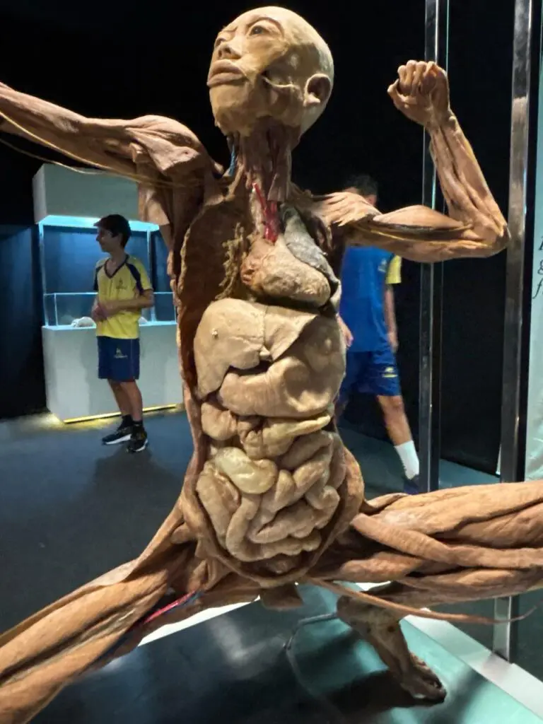 WhatsApp Image 2026-03-16 at 10.03.18