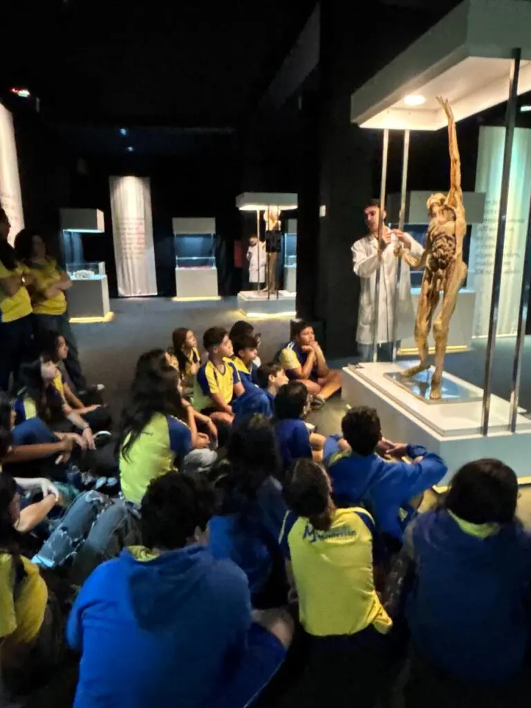 WhatsApp Image 2026-03-16 at 10.03.19