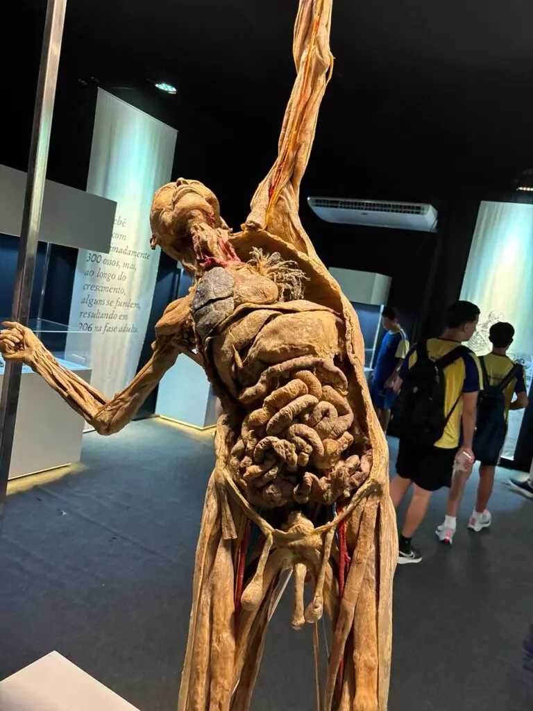 WhatsApp Image 2026-03-16 at 10.03.24