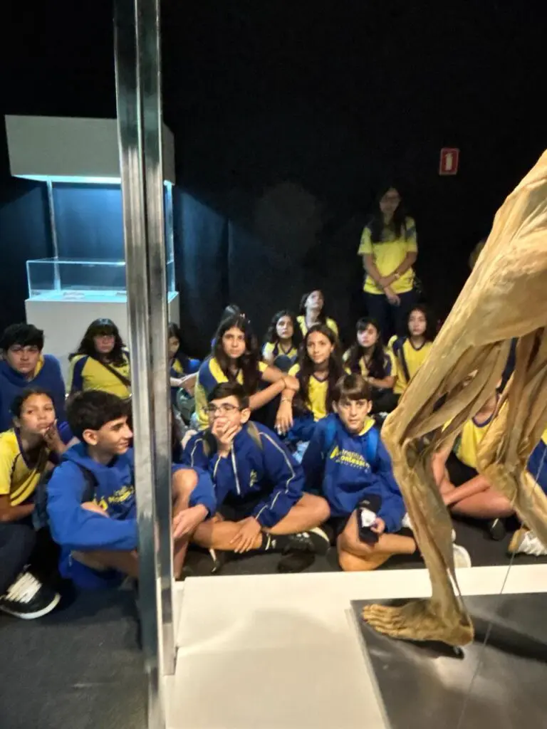 WhatsApp Image 2026-03-16 at 10.44.17