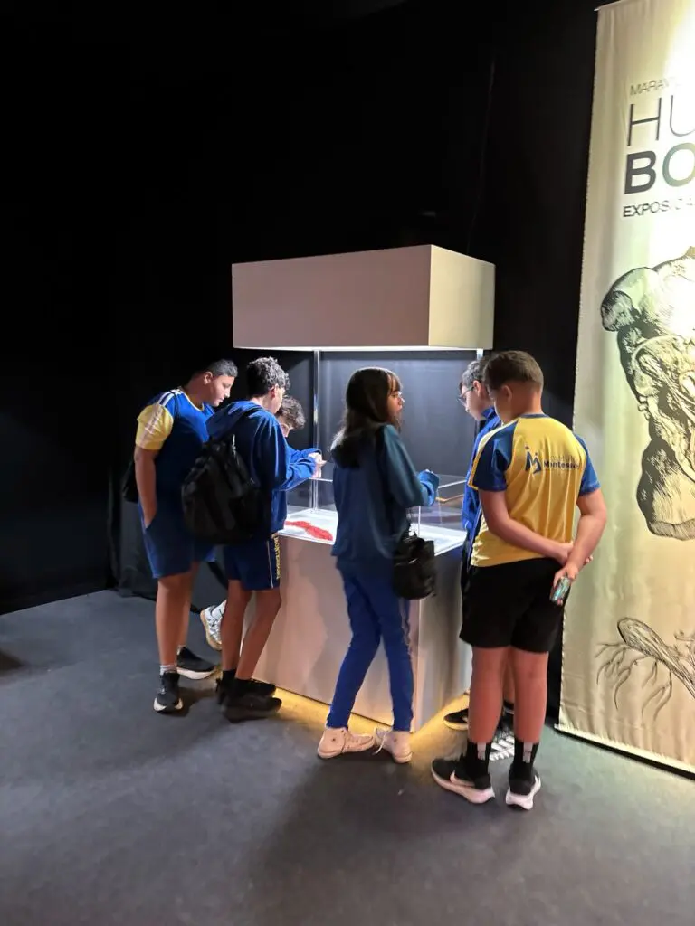 WhatsApp Image 2026-03-16 at 10.44.22 (1)