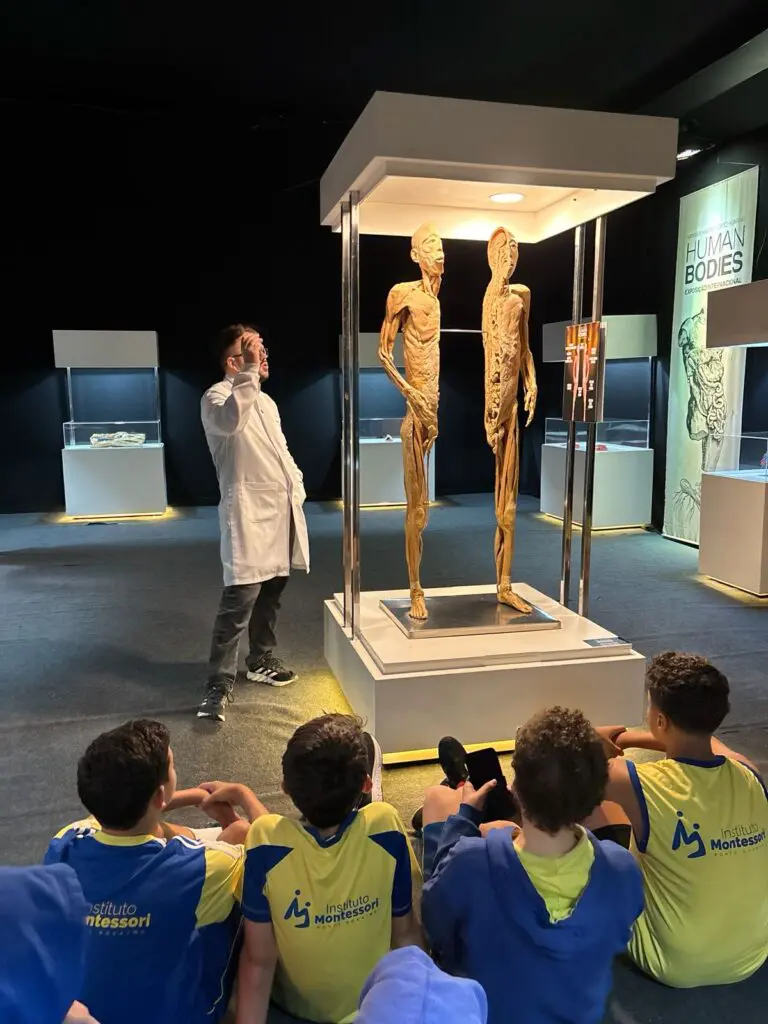 WhatsApp Image 2026-03-16 at 10.44.23 (1)