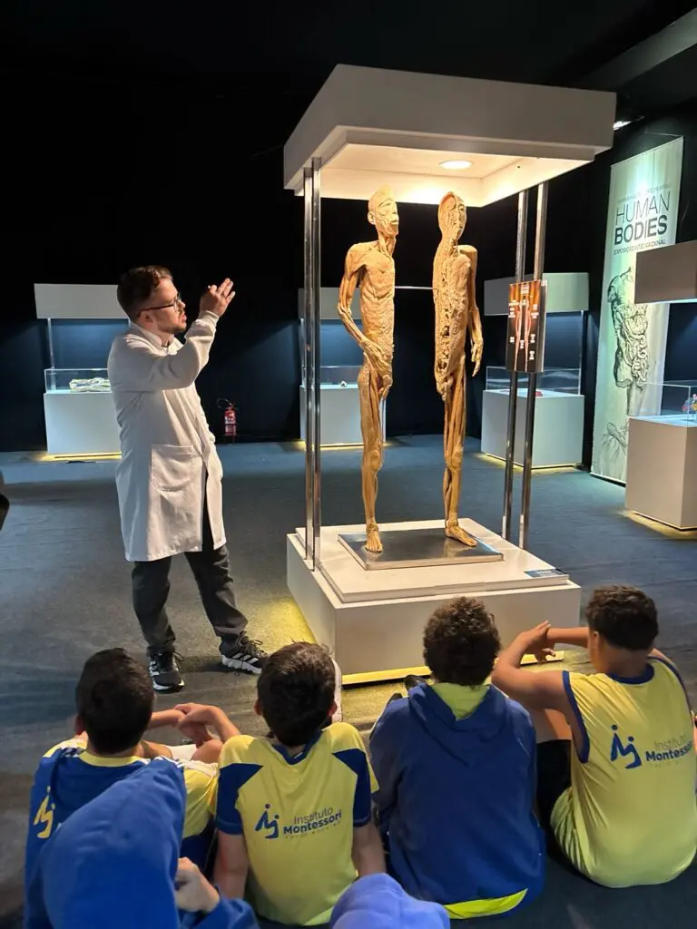 WhatsApp Image 2026-03-16 at 10.44.23