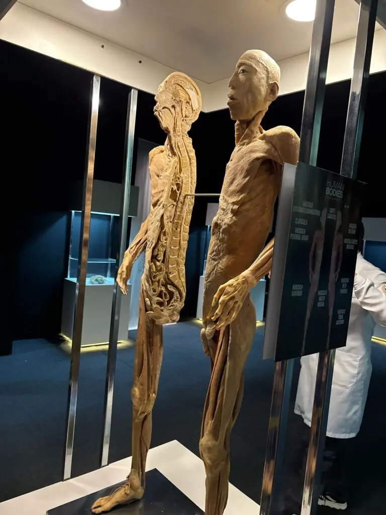 WhatsApp Image 2026-03-16 at 10.44.24 (2)