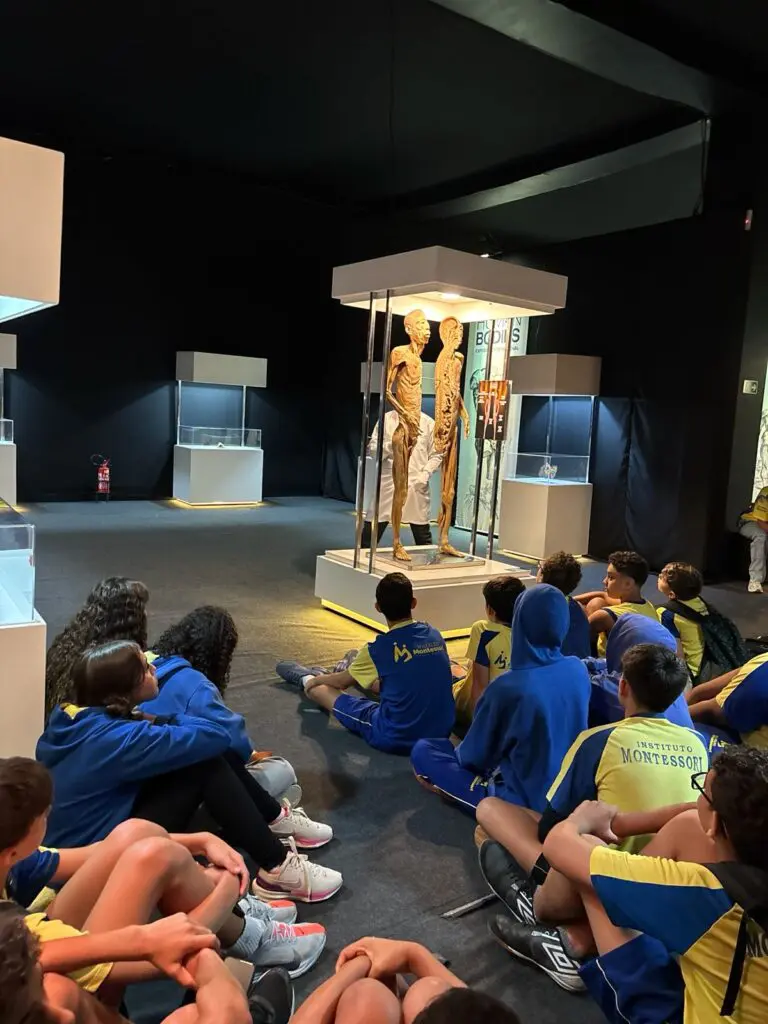 WhatsApp Image 2026-03-16 at 10.44.25 (2)