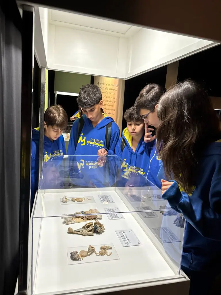 WhatsApp Image 2026-03-16 at 10.44.26 (1)