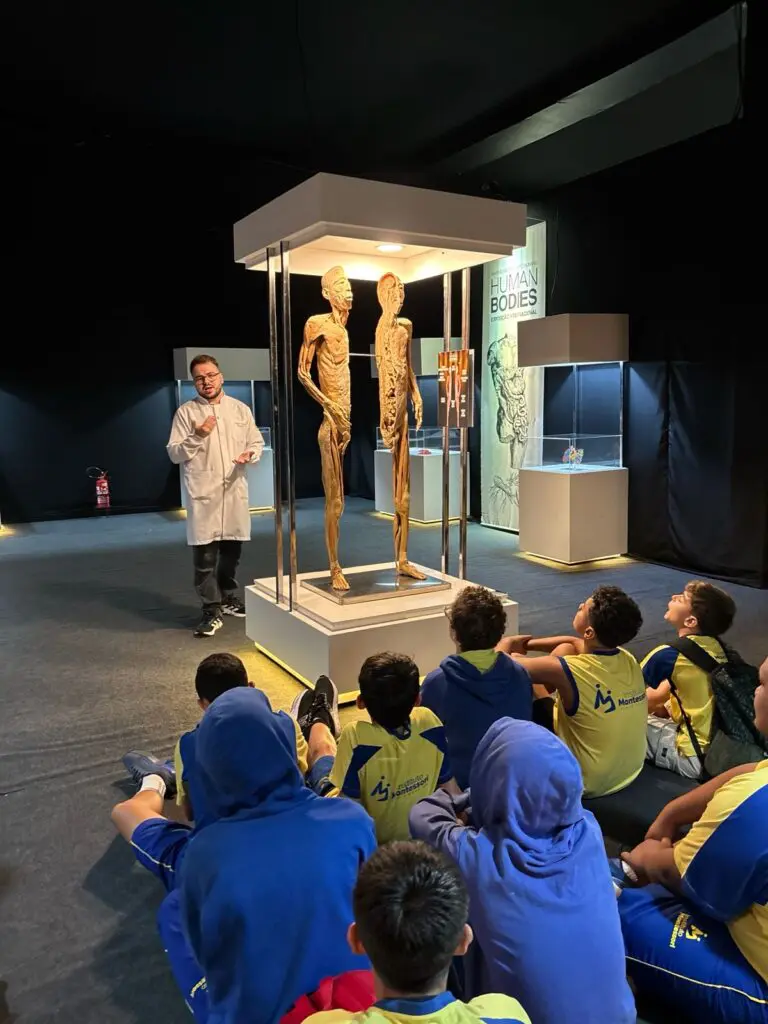 WhatsApp Image 2026-03-16 at 10.44.26 (3)