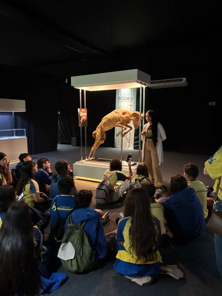 WhatsApp Image 2026-03-16 at 10.44.27