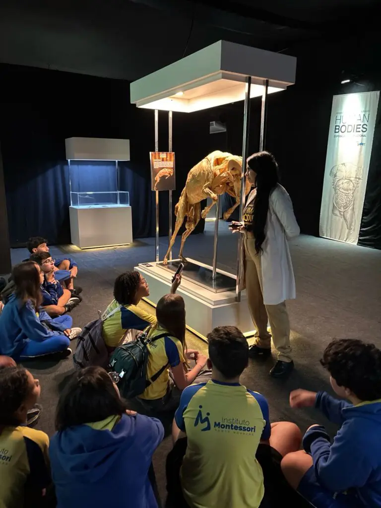 WhatsApp Image 2026-03-16 at 10.44.28 (1)