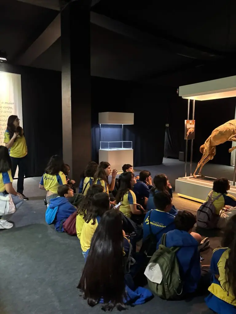 WhatsApp Image 2026-03-16 at 10.44.28