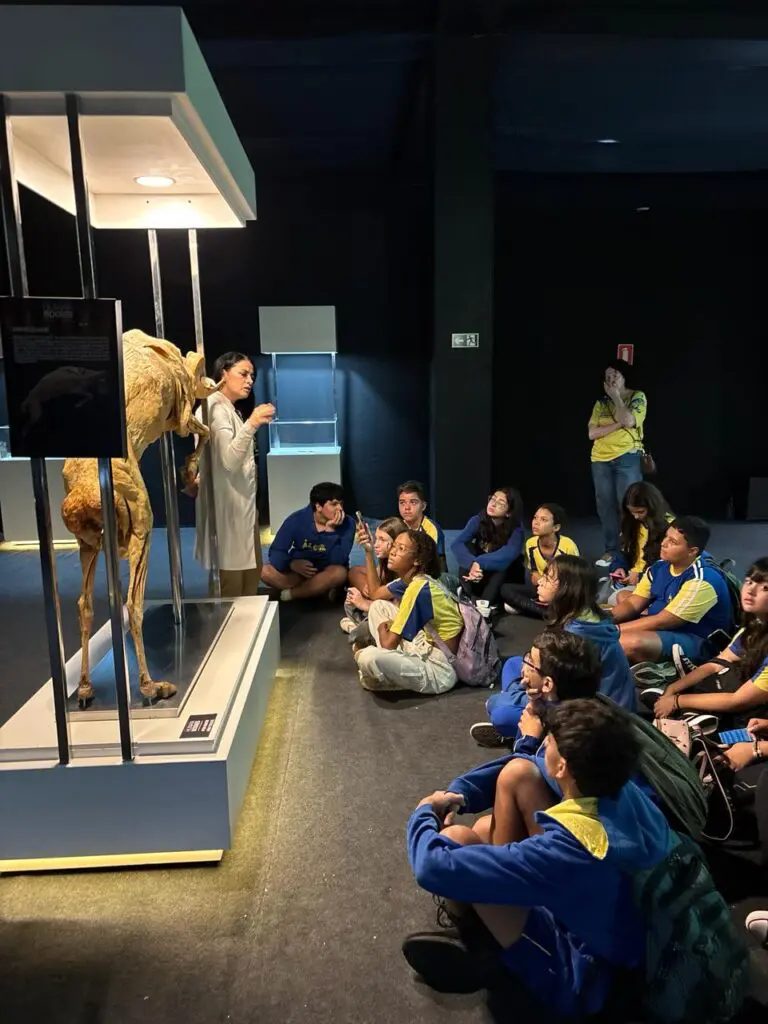 WhatsApp Image 2026-03-16 at 10.44.31 (1)