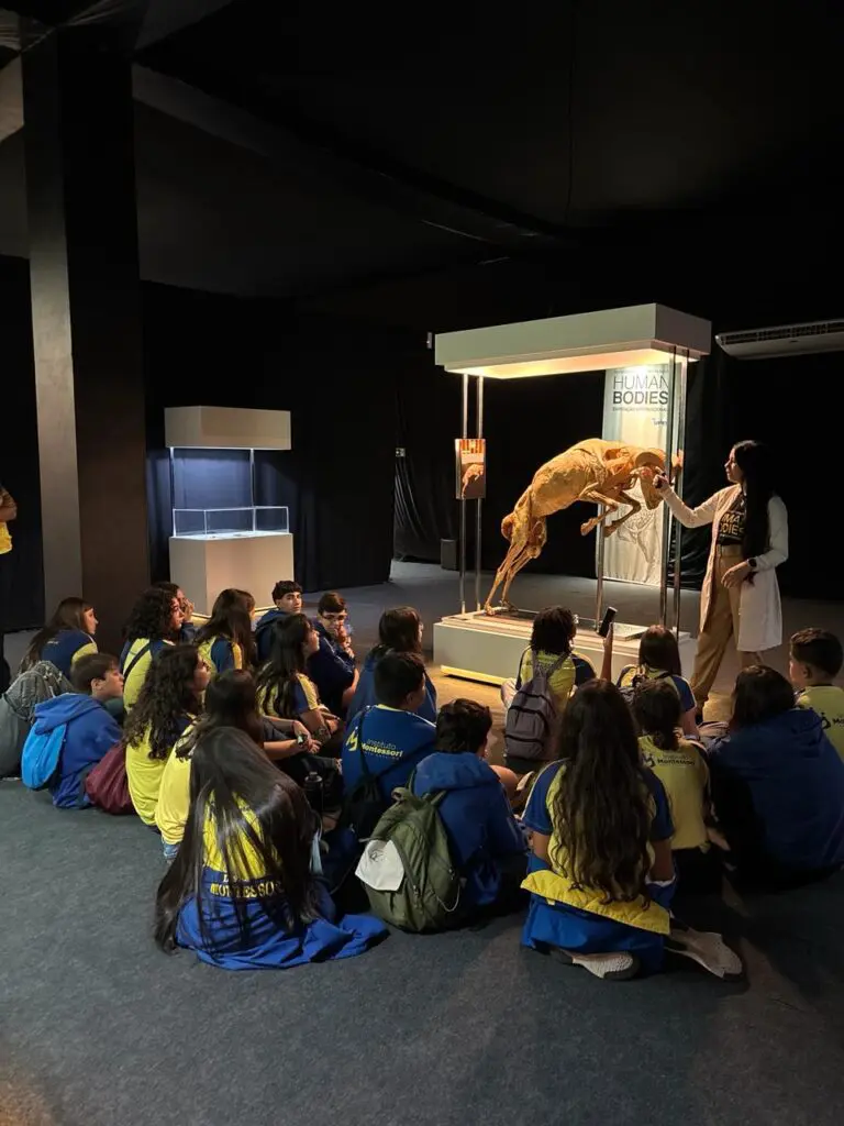 WhatsApp Image 2026-03-16 at 10.44.34 (2)