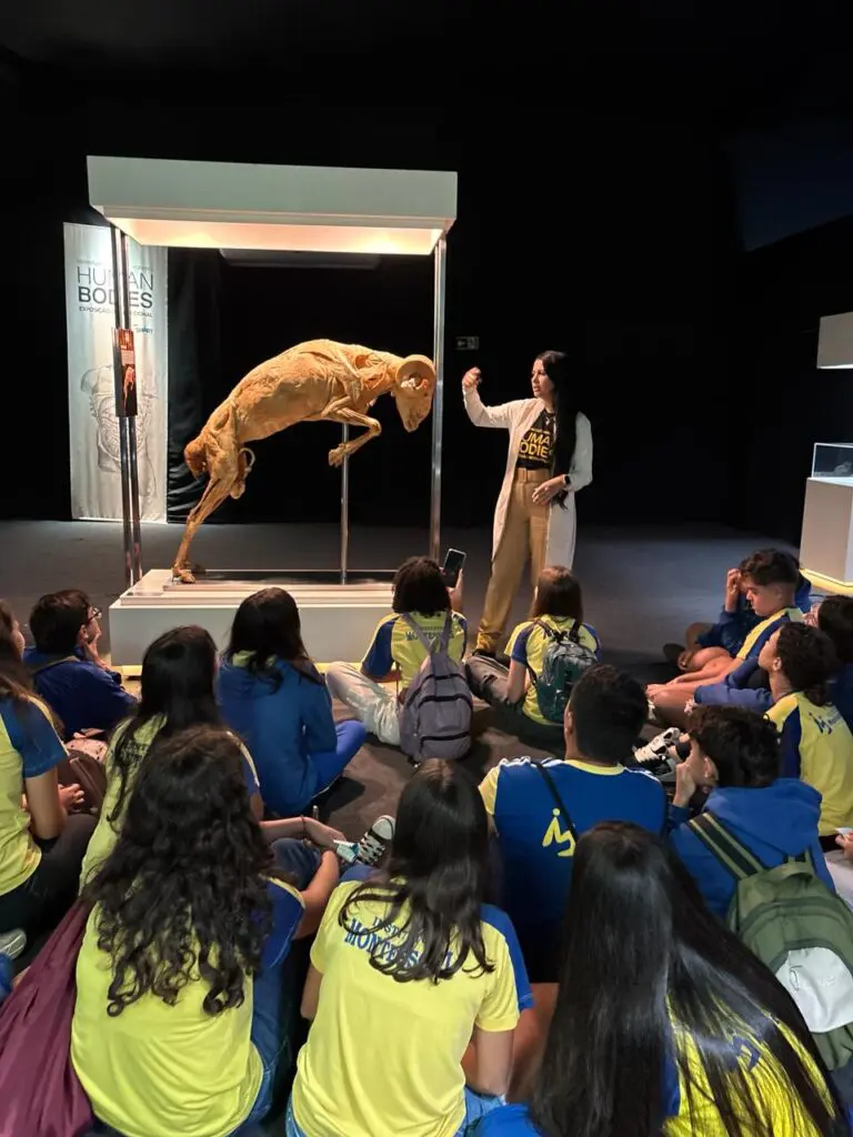 WhatsApp Image 2026-03-16 at 10.44.34