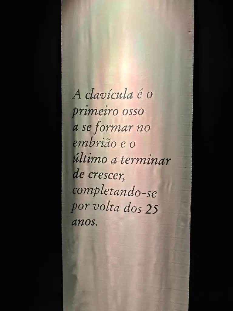 WhatsApp Image 2026-03-16 at 10.44.35 (1)