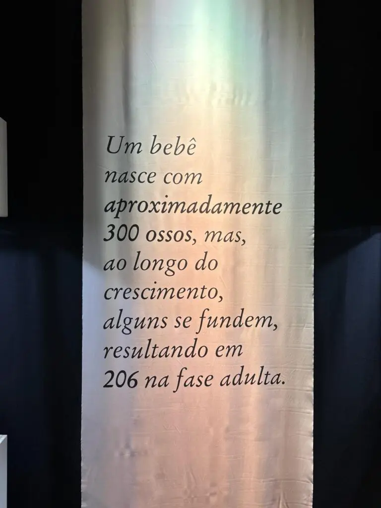 WhatsApp Image 2026-03-16 at 10.44.35 (2)