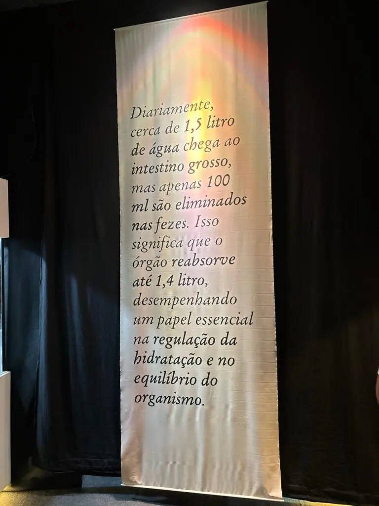 WhatsApp Image 2026-03-16 at 10.44.36 (1)