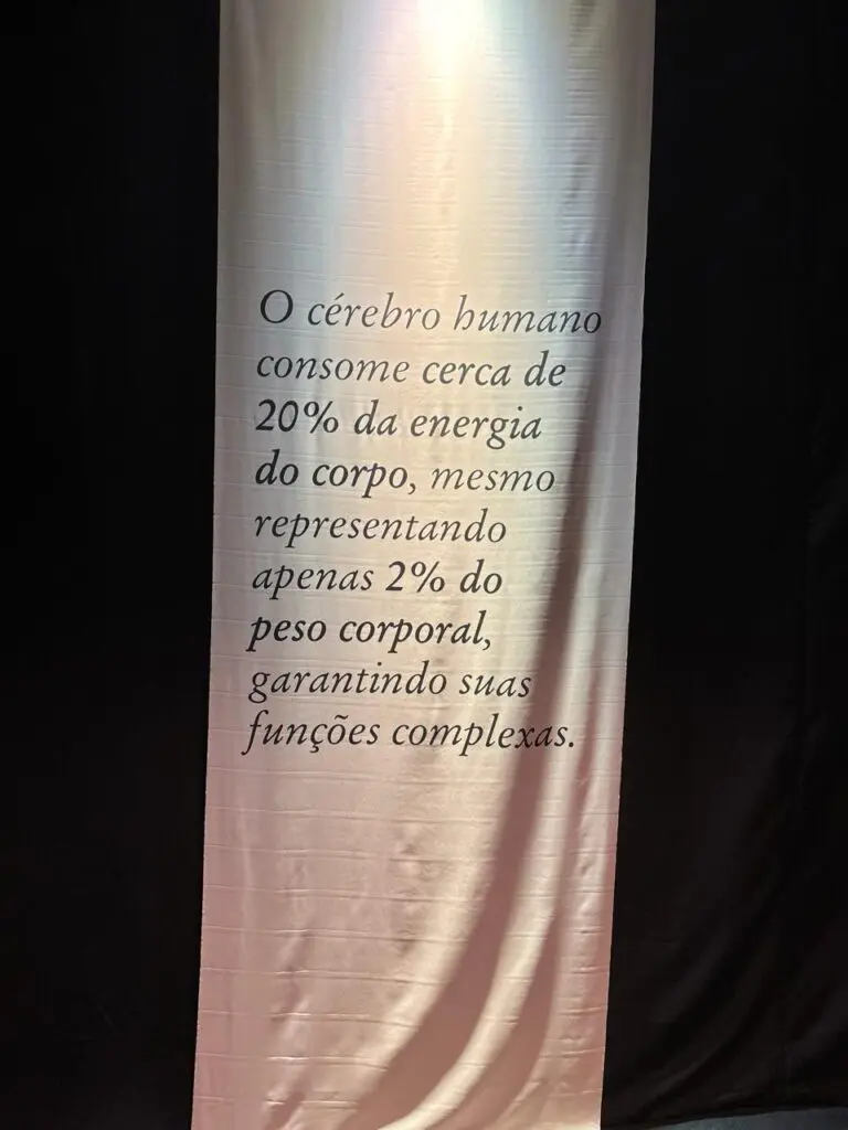 WhatsApp Image 2026-03-16 at 10.44.36