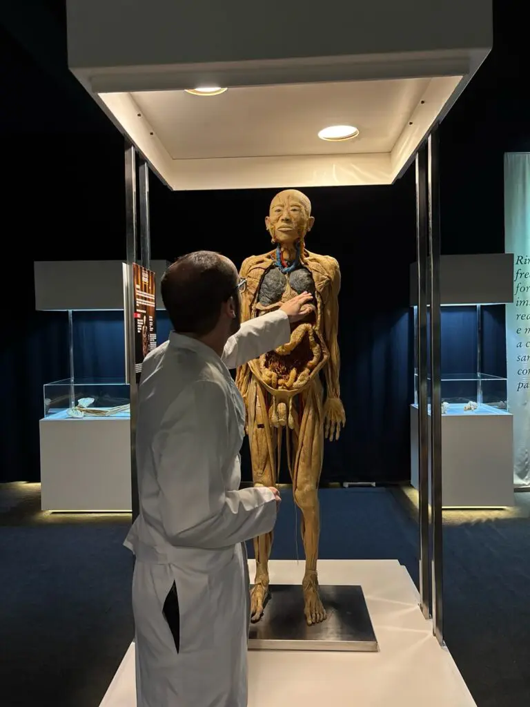 WhatsApp Image 2026-03-16 at 16.31.37 (1)