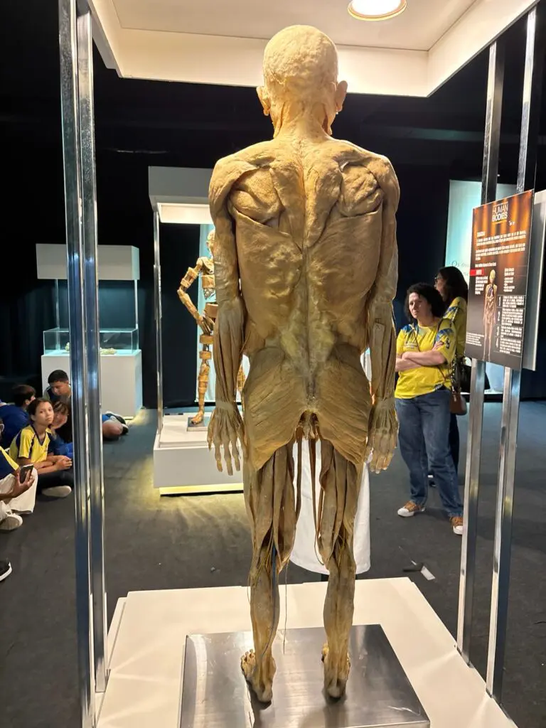 WhatsApp Image 2026-03-16 at 16.31.40