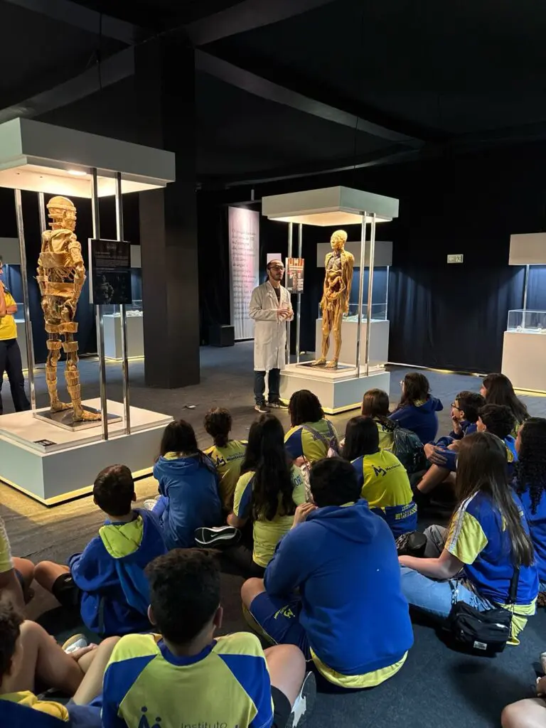 WhatsApp Image 2026-03-16 at 16.31.43