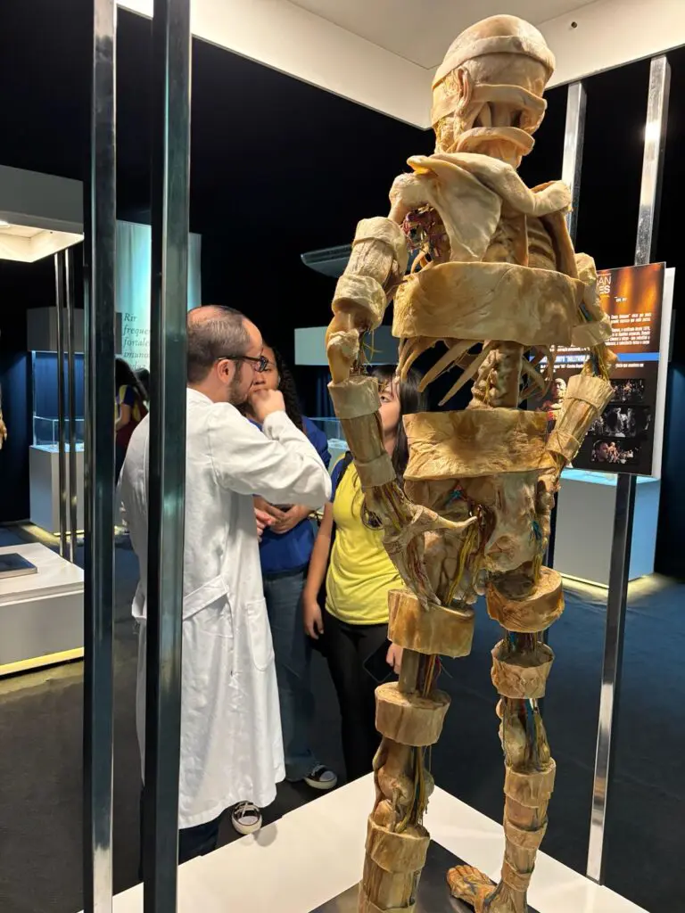 WhatsApp Image 2026-03-16 at 16.31.44 (1)