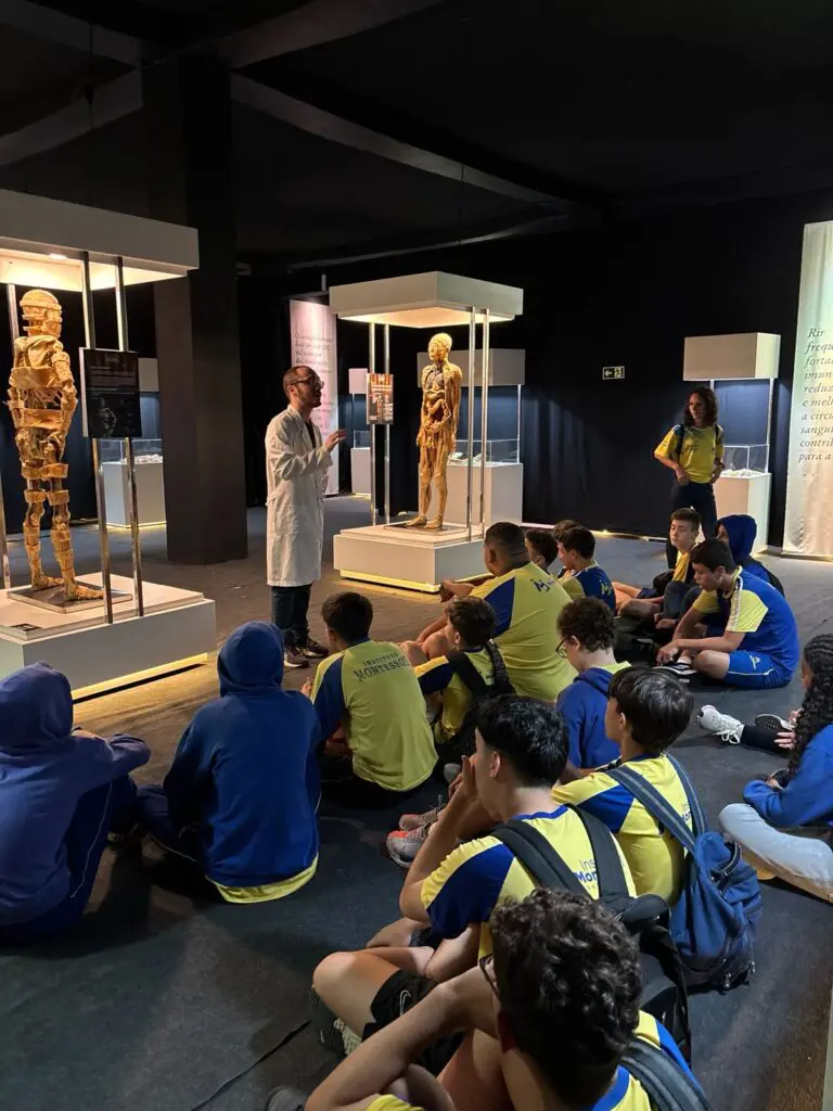 WhatsApp Image 2026-03-16 at 16.36.28