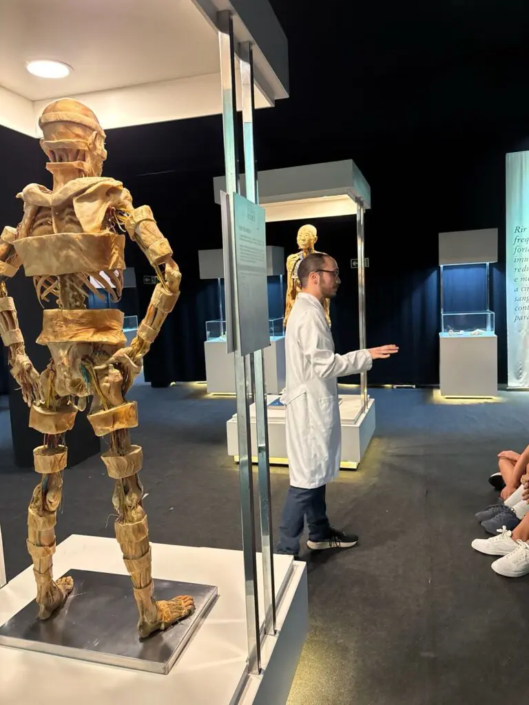 WhatsApp Image 2026-03-16 at 16.36.29