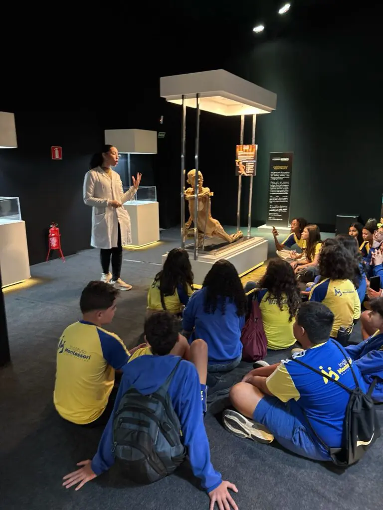 WhatsApp Image 2026-03-16 at 16.36.32 (1)