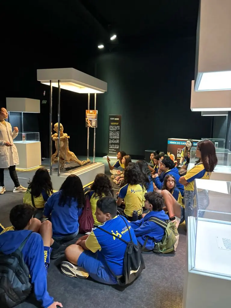 WhatsApp Image 2026-03-16 at 16.36.32