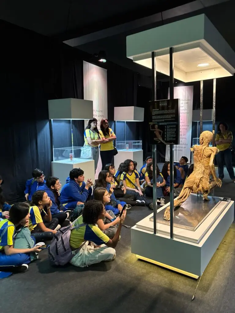 WhatsApp Image 2026-03-16 at 16.36.34 (1)