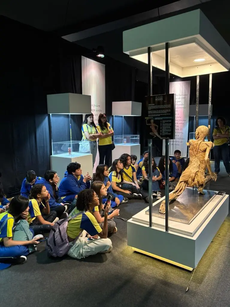 WhatsApp Image 2026-03-16 at 16.36.34 (2)