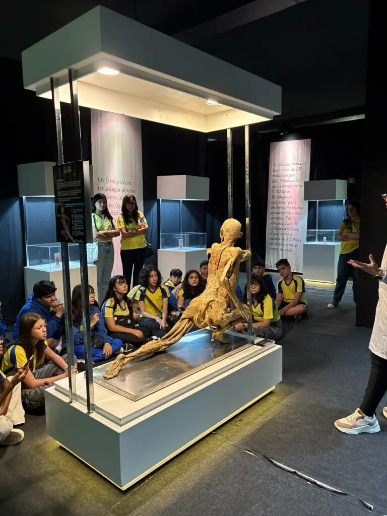 WhatsApp Image 2026-03-16 at 16.36.34 (3)