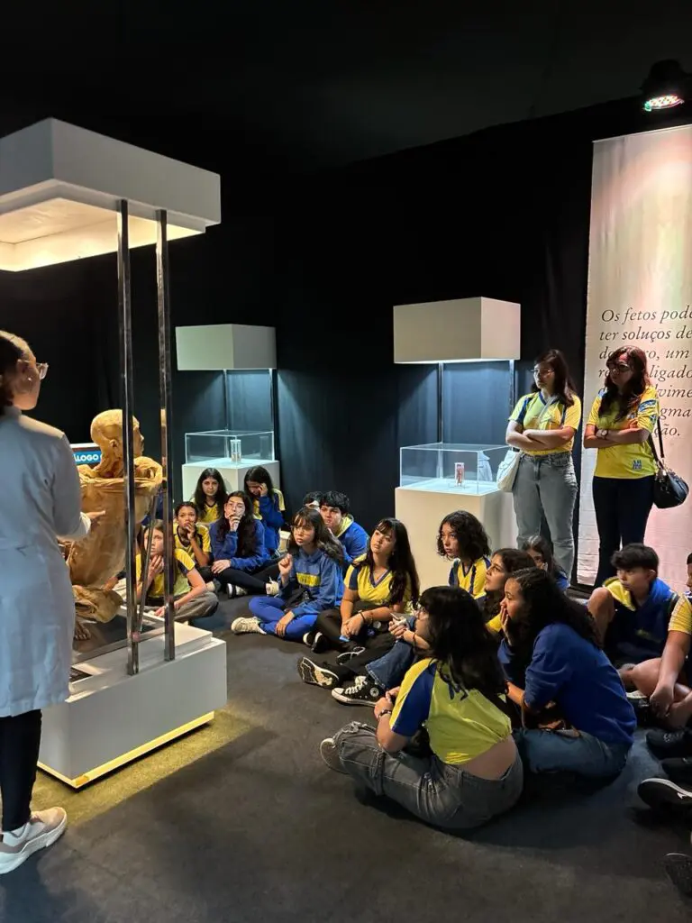 WhatsApp Image 2026-03-16 at 16.36.34