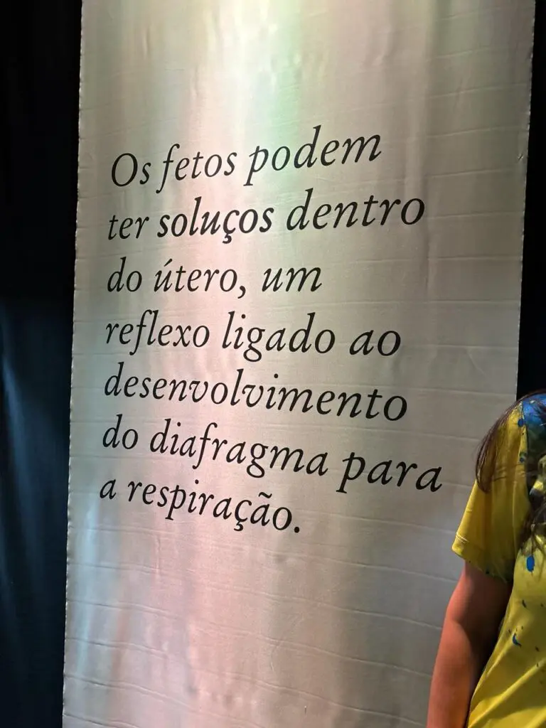 WhatsApp Image 2026-03-16 at 16.36.35 (1)