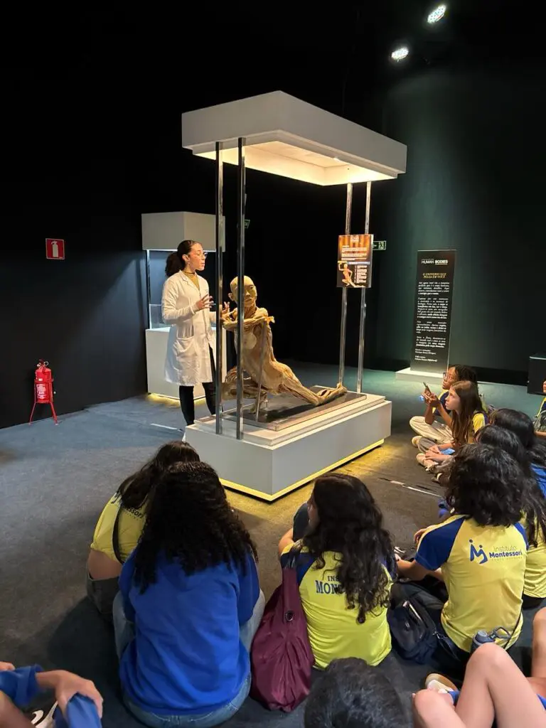 WhatsApp Image 2026-03-16 at 16.36.35 (2)