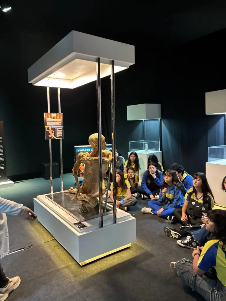 WhatsApp Image 2026-03-16 at 16.36.35